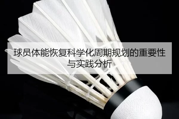 球员体能恢复科学化周期规划的重要性与实践分析
